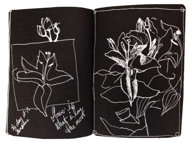flowerDrawing on black paper 
