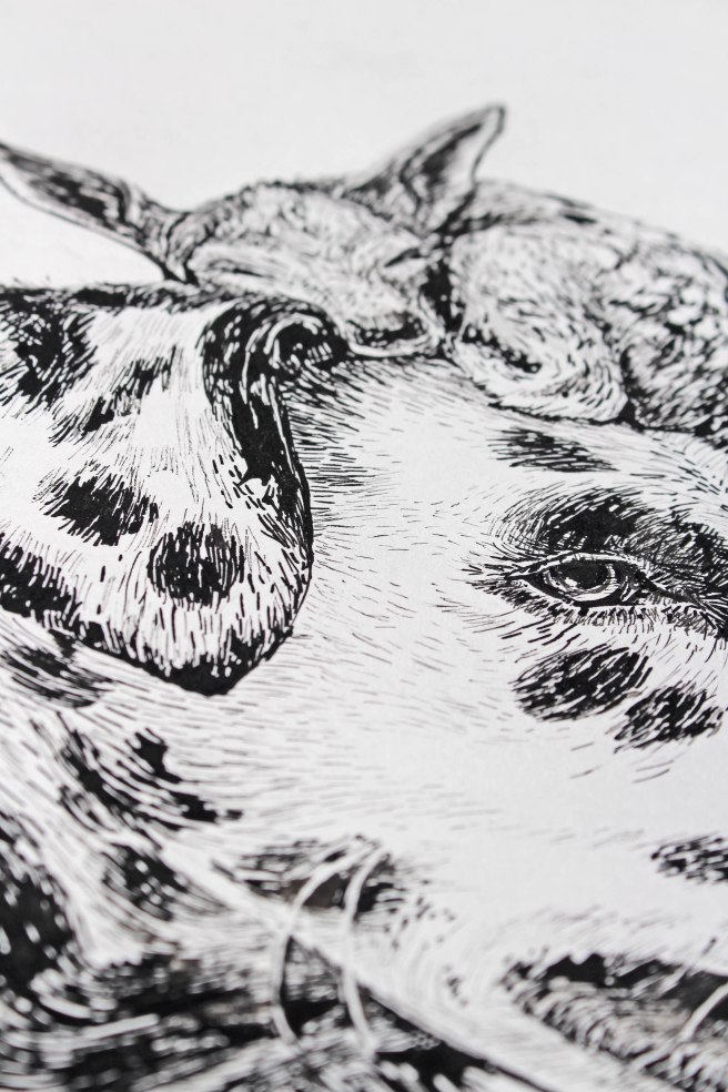 ink drawing dog, Drawing using pen and ink, magny tjelta